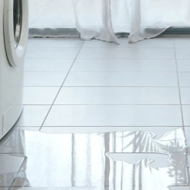 Appliance Leak Cleanup in Hamlin, TX