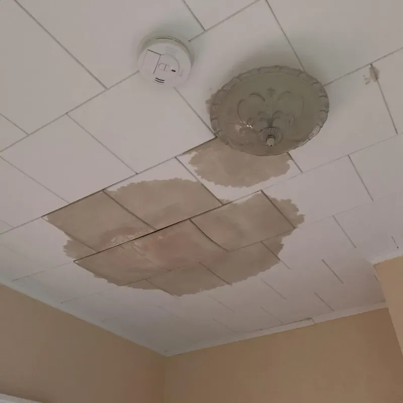 Ceiling Water Damage Repair in Hamlin, TX