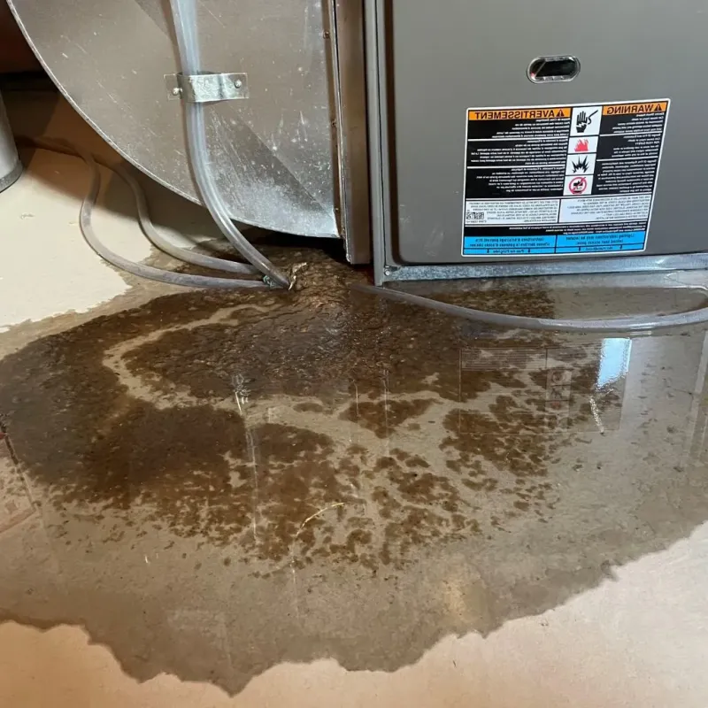 Pipe Burst and Leak Restoration in Hamlin, TX
