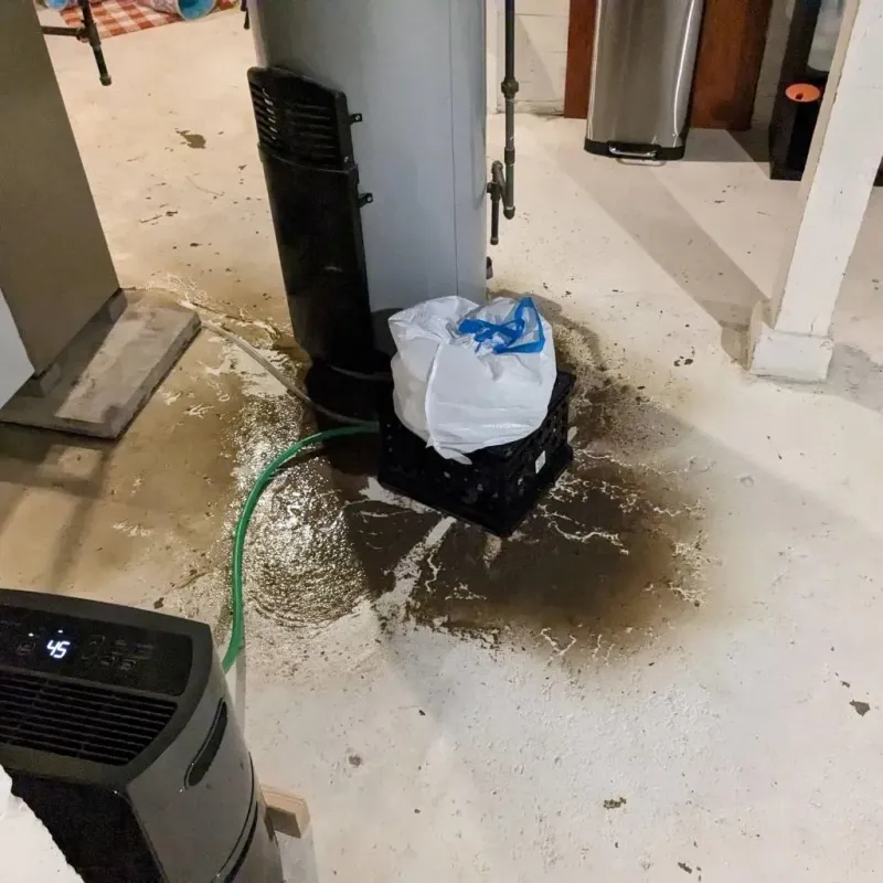 Sewage Backup Cleanup Service in Hamlin, TX